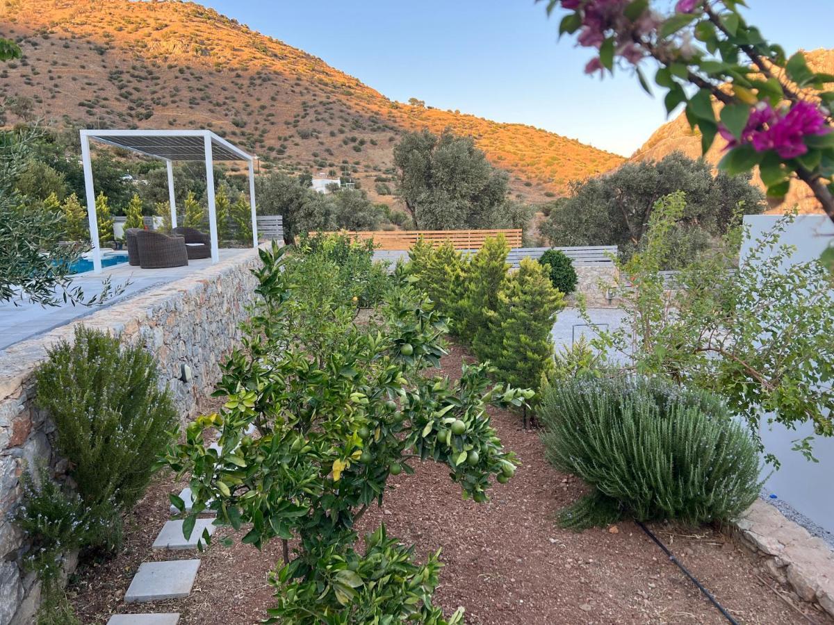 Evgoro Luxury Suites Agia Galini  Bagian luar foto