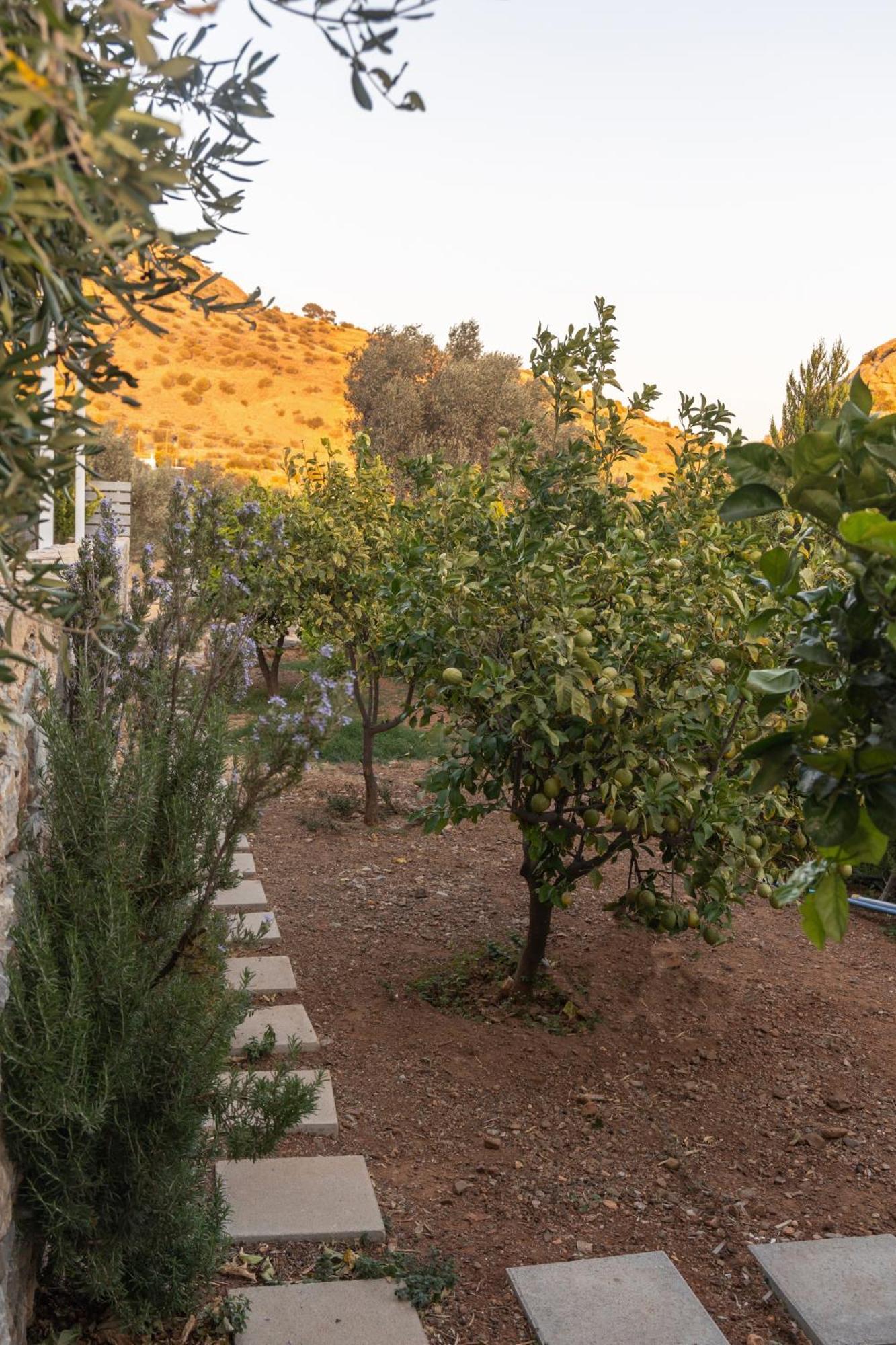 Evgoro Luxury Suites Agia Galini  Bagian luar foto