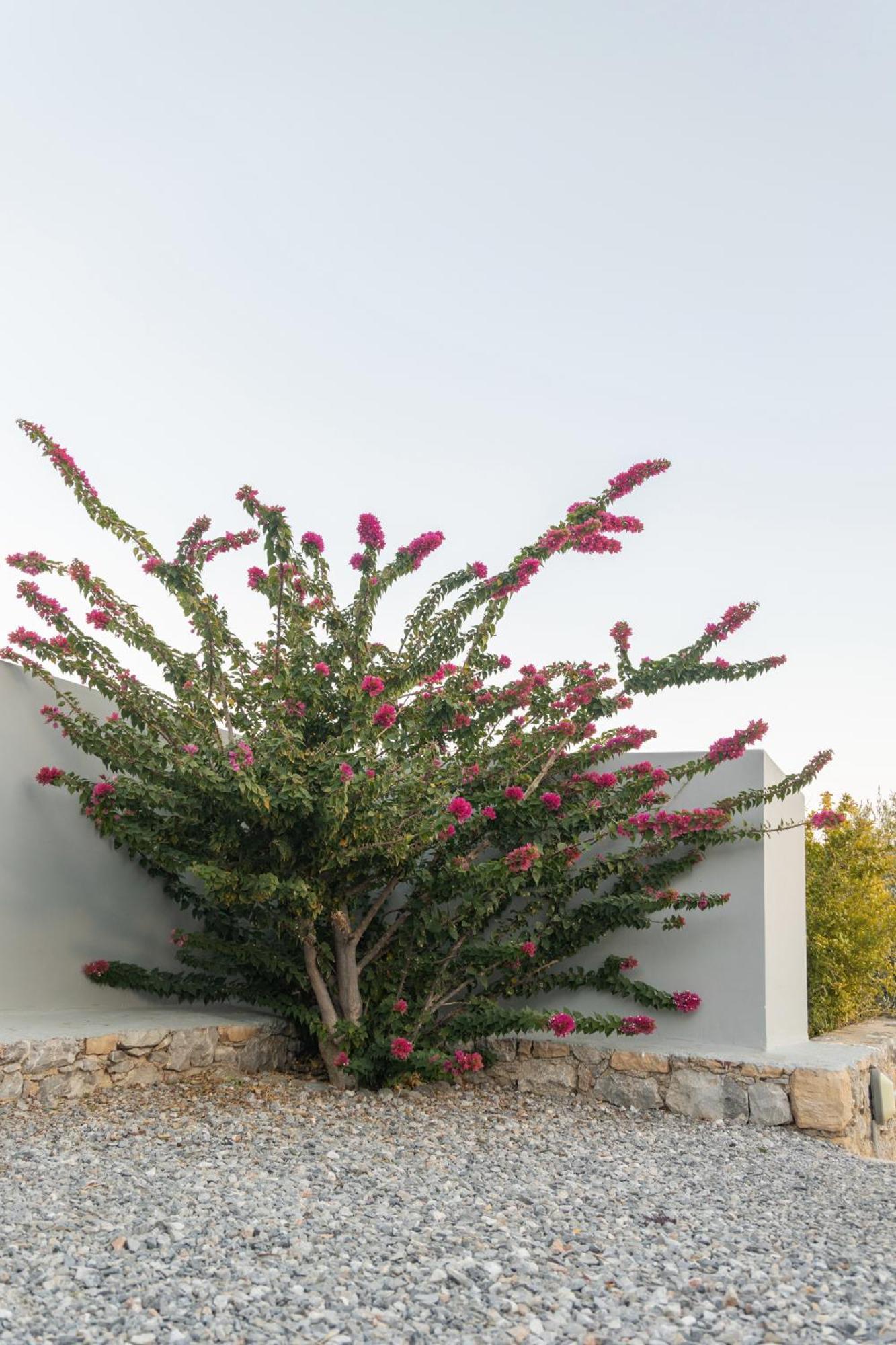 Evgoro Luxury Suites Agia Galini  Bagian luar foto